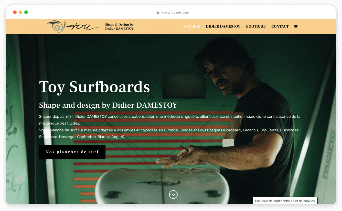 ToySurfboards Website